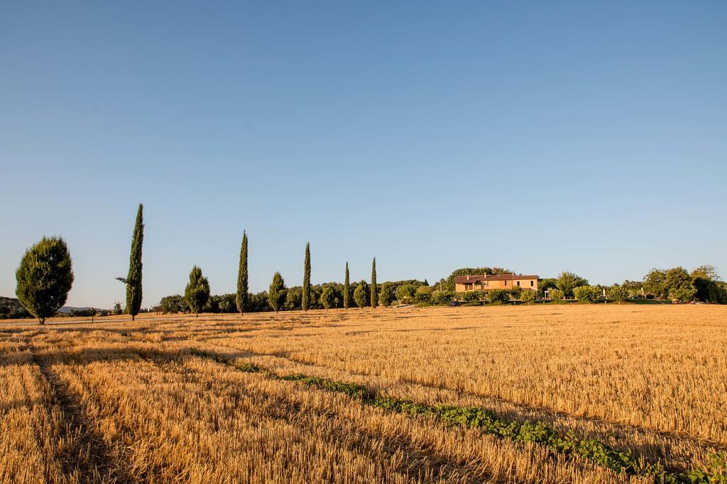 Agriturismo Il Tiro Castel del Piano  Zewnętrze zdjęcie